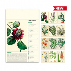 2025 calendar "Herbalist's shop" 31 x 52.5 cm wall. Vintage Italian Almanac